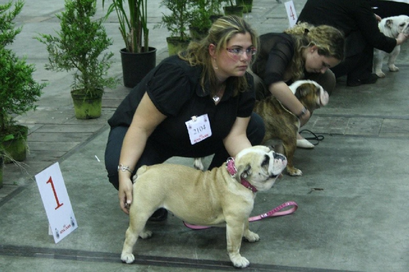 Guccih (Sans Affixe)